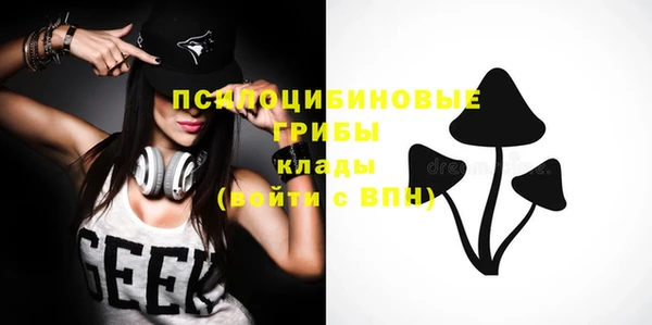 гидропоника Нягань