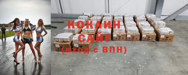 дживик Осташков