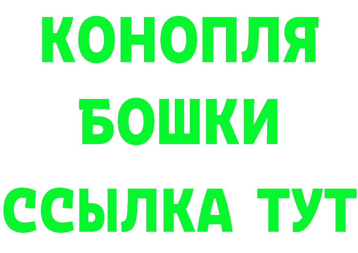 Альфа ПВП СК как зайти это ссылка на мегу Камбарка