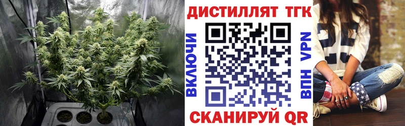 Дистиллят ТГК вейп с тгк  цена   Камбарка 